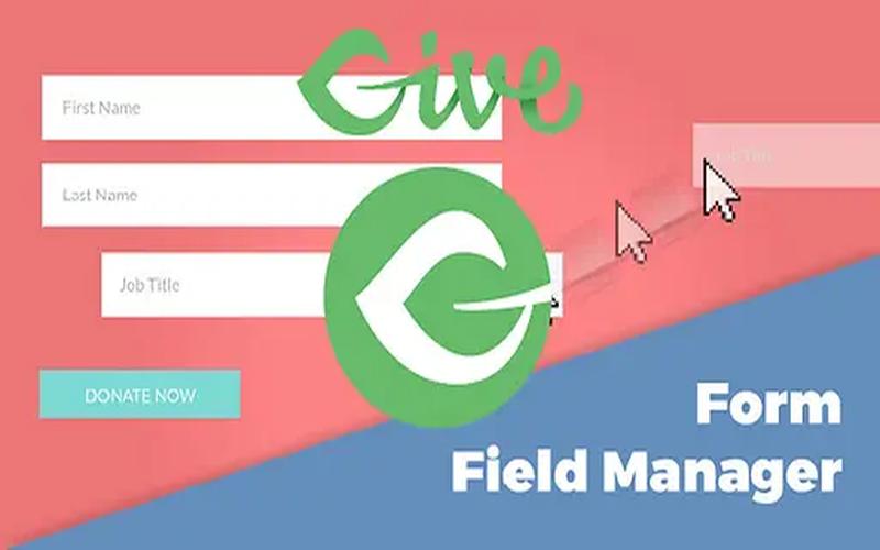 Form Field Manager – 自定义捐赠表单与数据收集扩展