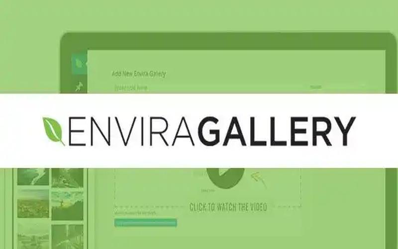 Envira Gallery Pro – WordPress 高级图片图库插件
