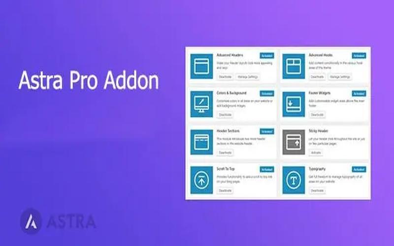 Astra Pro Addon – Astra 高级功能扩展插件