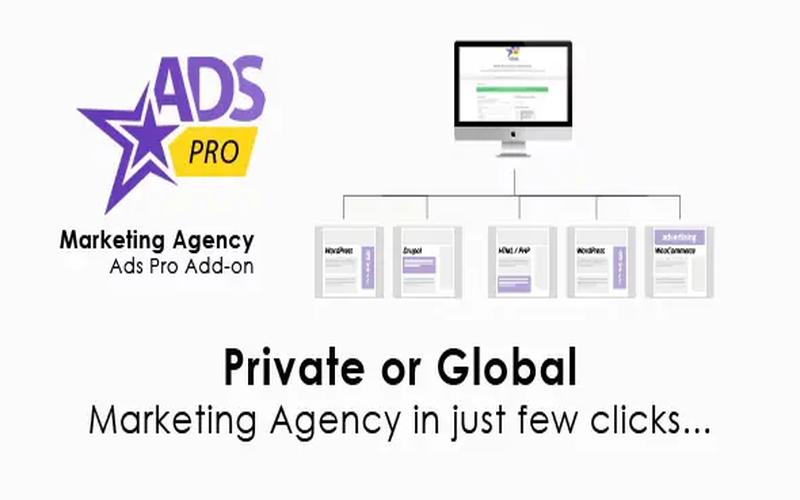 Ads Pro Add-on – WordPress 营销代理扩展插件