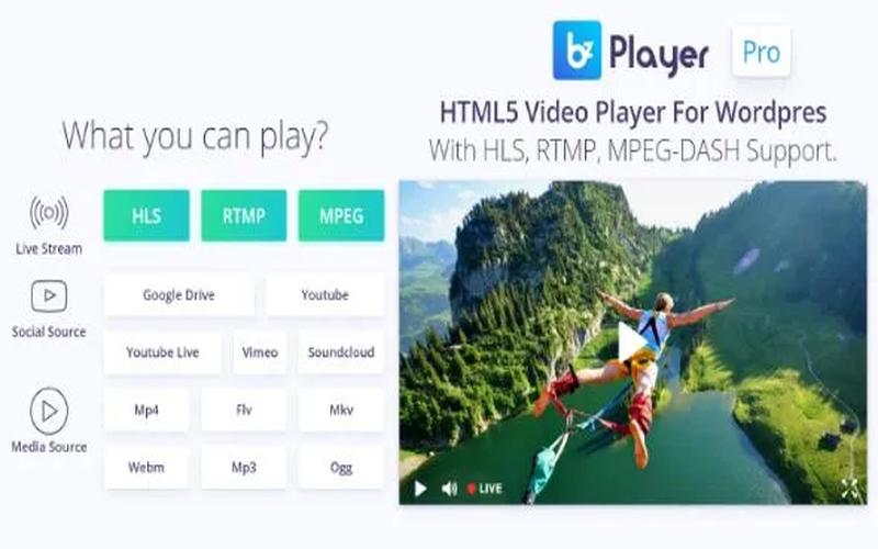 bzplayer Pro – 高级直播与视频播放器插件