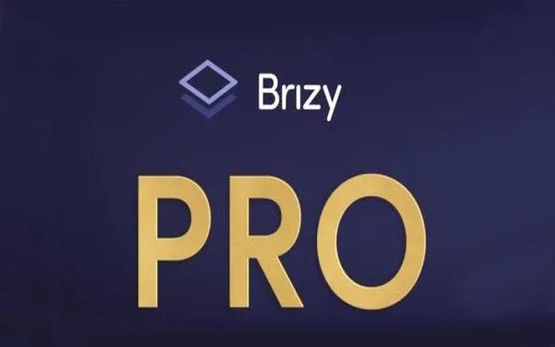 Brizy Pro – WordPress 可视化页面构建增强插件