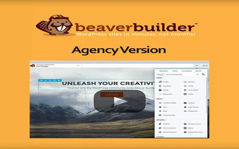 Beaver Builder Plugin Agency Version – 高级可视化页面构建插件