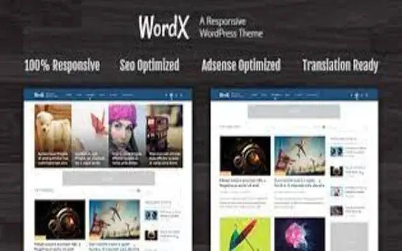 WordX – 多种阅读布局与作者专栏 WordPress 杂志主题