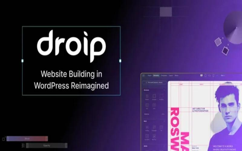 Droip – 无代码页面设计与交互构建插件
