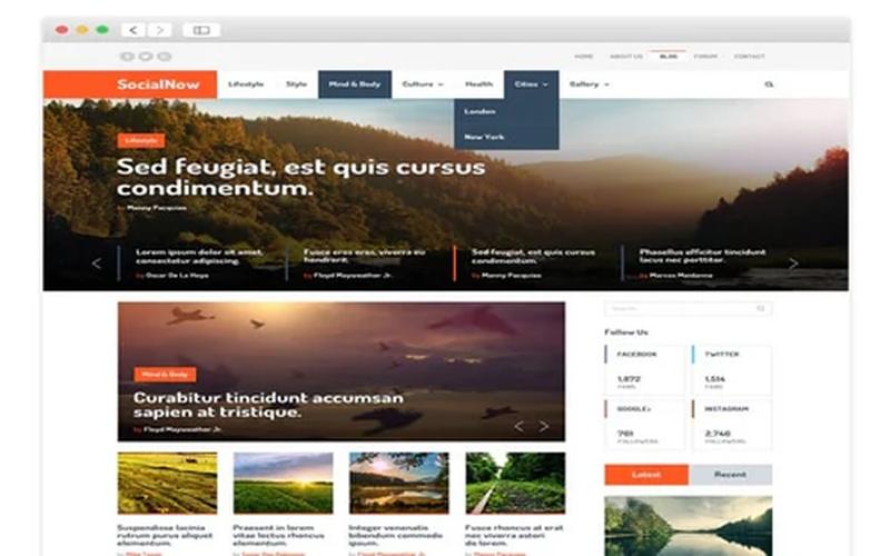 SocialNow – 焦点轮播与资讯编排 WordPress 杂志主题