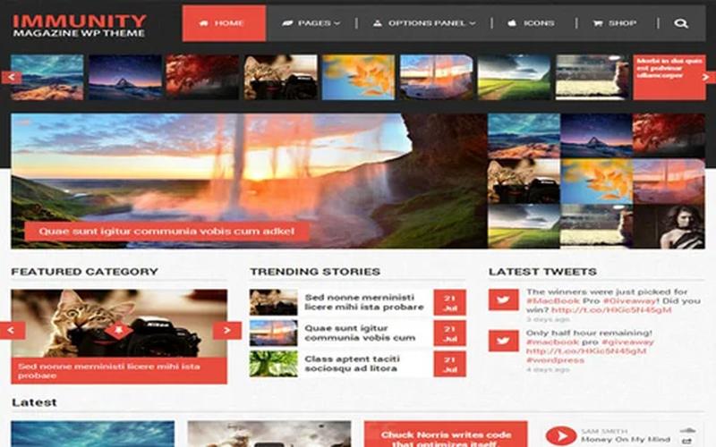 Immunity – 博客杂志与 WooCommerce 多用途 WordPress 主题