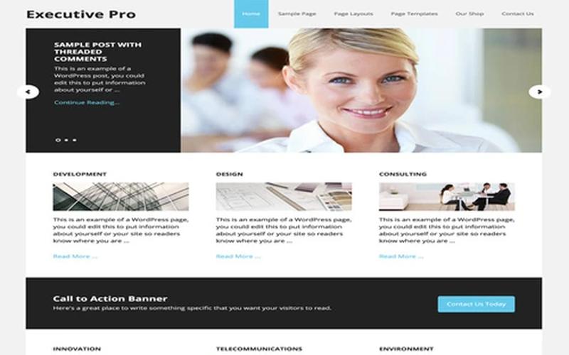 Executive Pro – 商务服务与企业项目展示主题