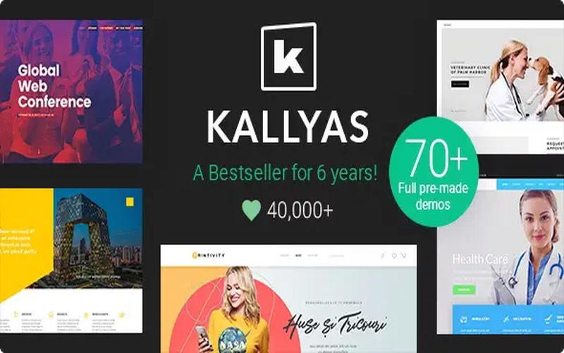 KALLYAS – 创意电商多用途企业建站主题