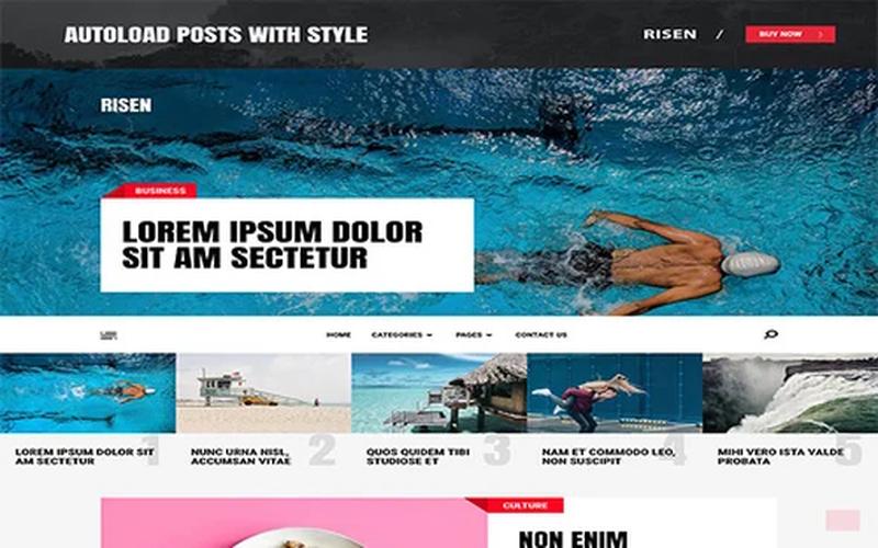 Risen – 模块化首页与内容专题 WordPress 主题