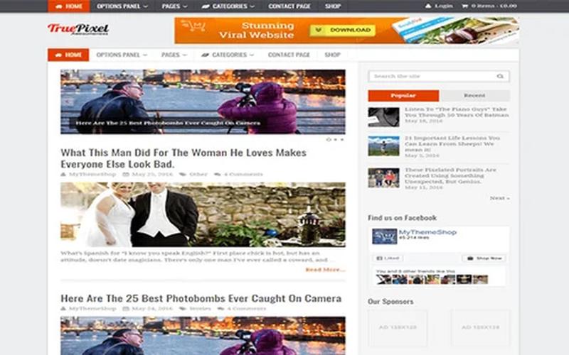 TruePixel – 清晰阅读与广告布局 WordPress 博客主题