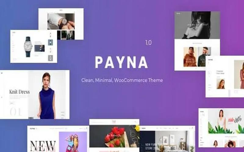 Payna – 简约品牌零售与精品商城主题
