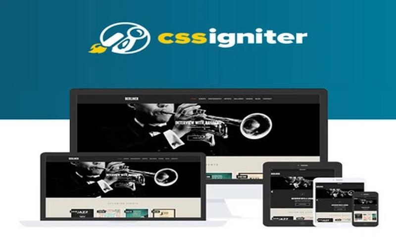 Berliner – 音乐与艺术机构 WordPress 主题