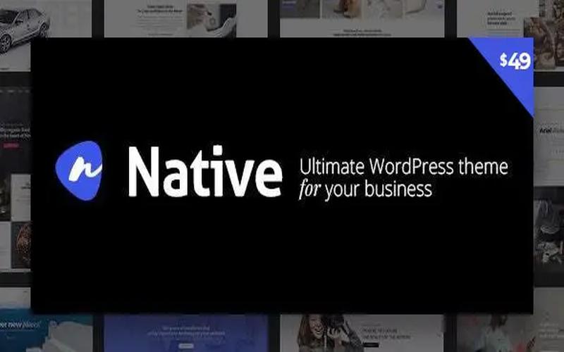 Native – 企业展示与创意页面 WordPress 多用途主题
