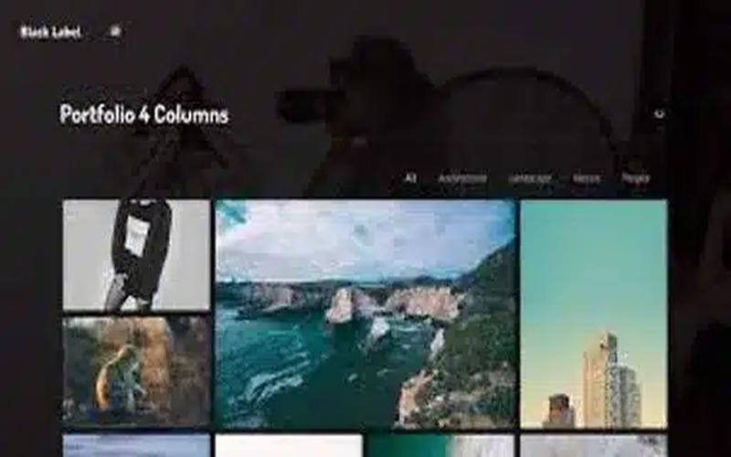 Black Label – 全屏视频与图片背景 WordPress 主题