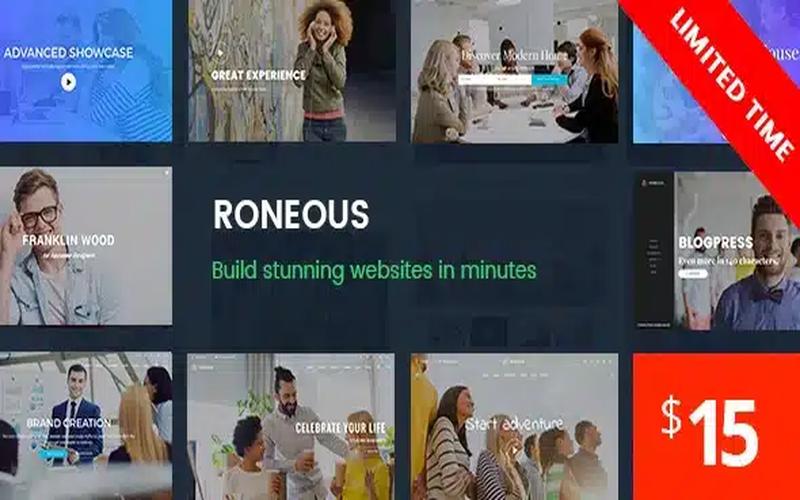 Roneous – 创意机构与企业作品展示主题