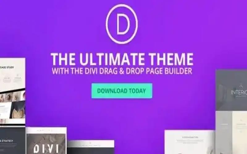 Divi – 可视化页面设计与多用途建站主题