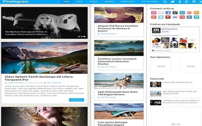 Pinstagram – 图片网格与灵感内容博客 WordPress 主题