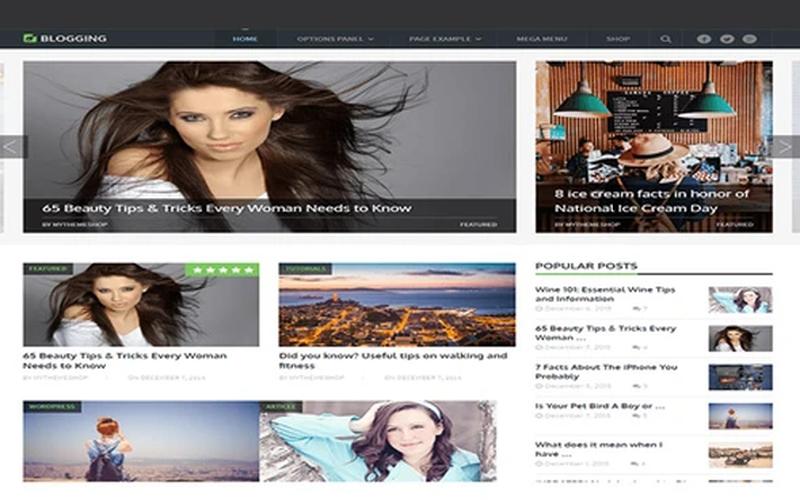 Blogging – 个人博客与文章阅读 WordPress 主题