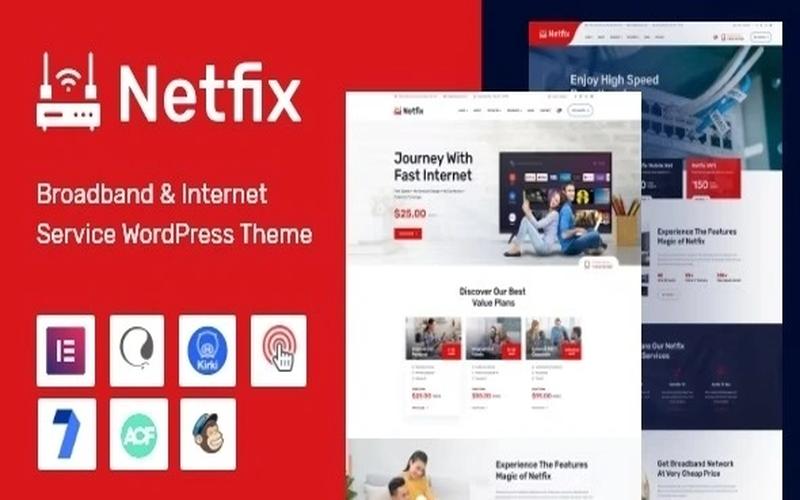 Netfix – 宽带网络与通信服务企业主题