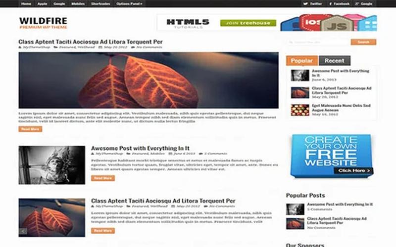 Wildfire – 经典杂志与清晰栏目 WordPress 主题