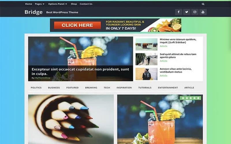 Bridge  – MyThemeShop高性能创意WordPress 主题