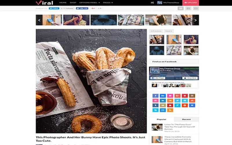 Viral – 热点内容与社交分享 WordPress 博客主题