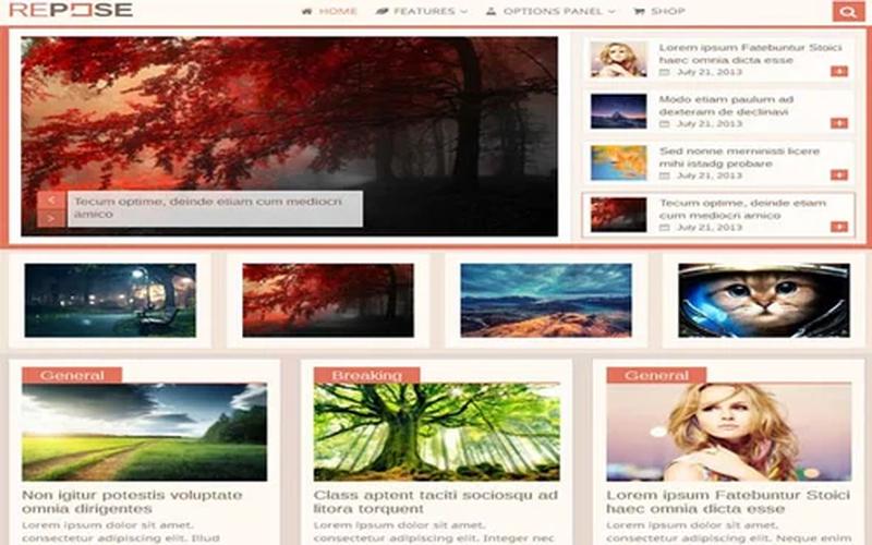 Repose – 视频图文与内容商店 WordPress 主题