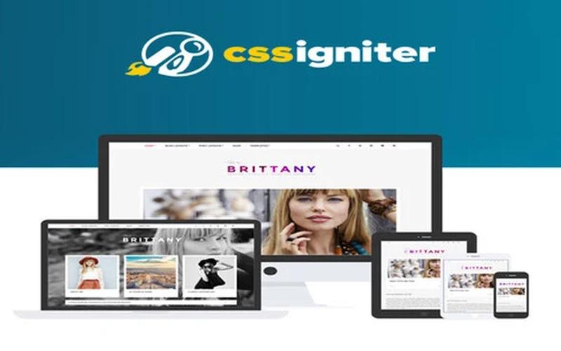 Brittany – 时尚博客与生活方式 WordPress 主题