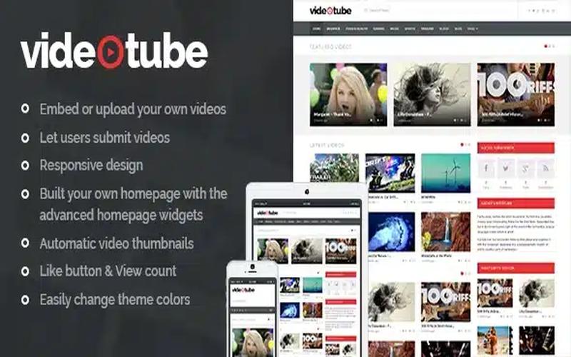 VideoTube – 视频分享与投稿互动门户主题