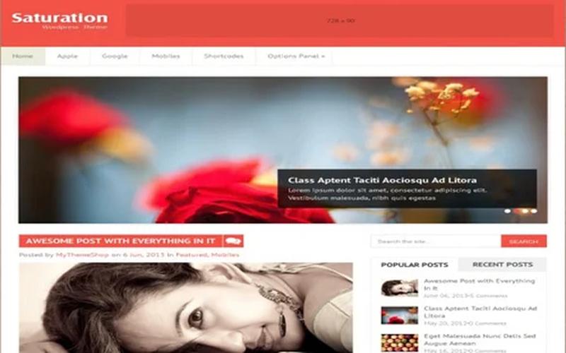Saturation – 明亮配色与传统博客 WordPress 主题
