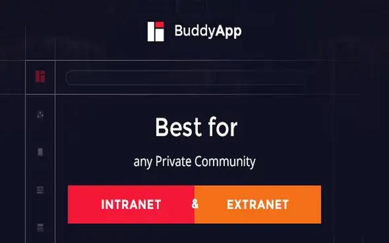 BuddyApp – 移动适配社区互动 WordPress 主题