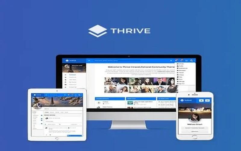 Thrive – 团队内网与会员互动社区主题